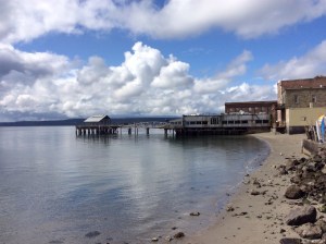 This was the view from the boardwalk on the backside of the house with the cool door.