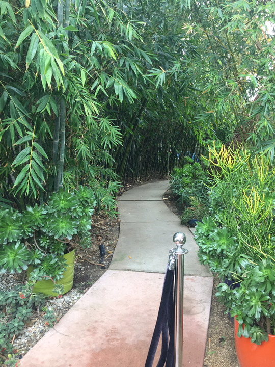 MiniBus Coffee Shop Bamboo walk